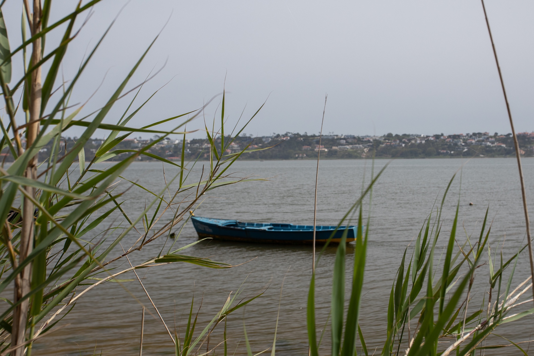Vau — Moradia T4 térrea na Aldeia da Lapinha, junto à Lagoa de Óbidos — imagem 106