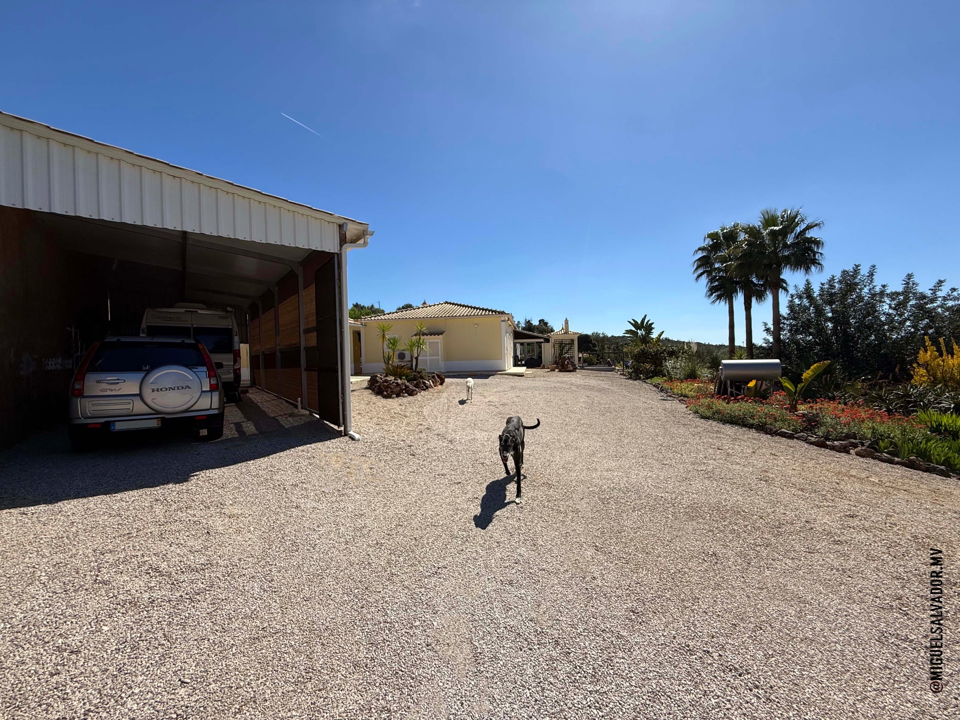 Gateiras — Moradia T3 térrea com piscina e amplo terreno — imagem 35