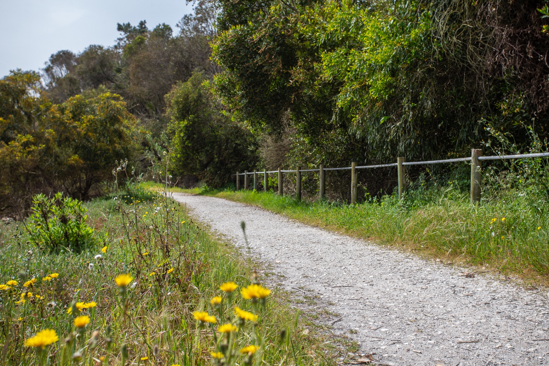 Vau — Moradia T4 térrea na Aldeia da Lapinha, junto à Lagoa de Óbidos — imagem 107